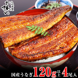 国産うなぎ蒲焼き120g4本セット(B995-1)