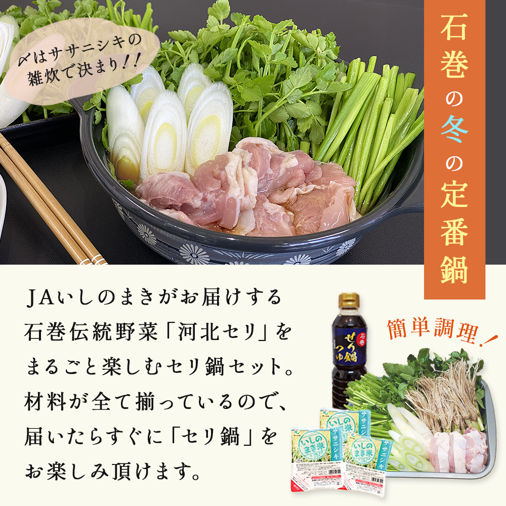 ＜11月配送＞ せり鍋セット せり5束 3-4人前 河北せり 鍋 せ