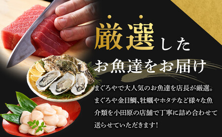 【定期便6ヶ月】まぐろや　特別セット【ふるさと納税】【まぐろ 鮪 本鮪 サーモン 海老 お刺身 海鮮 セット 福袋 キンメ きんめ お取り寄せ 御中元 お中元 お歳暮 父の日 母の日 贈り物 日本酒 