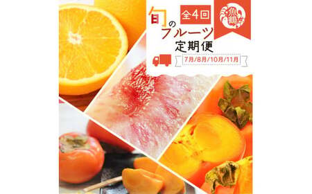 定期便 【全4回】果物定期便  バレンシア 桃 ひらたねなし柿 富有柿 【tkb377】