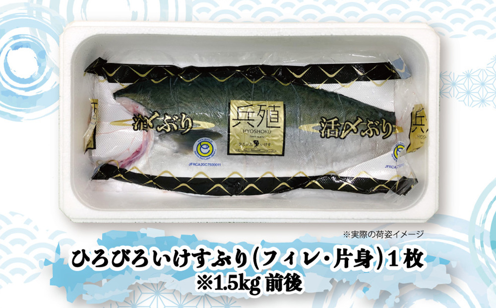 【先行予約】ひろびろいけすぶり(フィレ・片身)1枚 ※11月発送 ぶり 鰤 刺し身 刺身 鰤 大分県産 九州産 津久見市 国産【tsu001101】