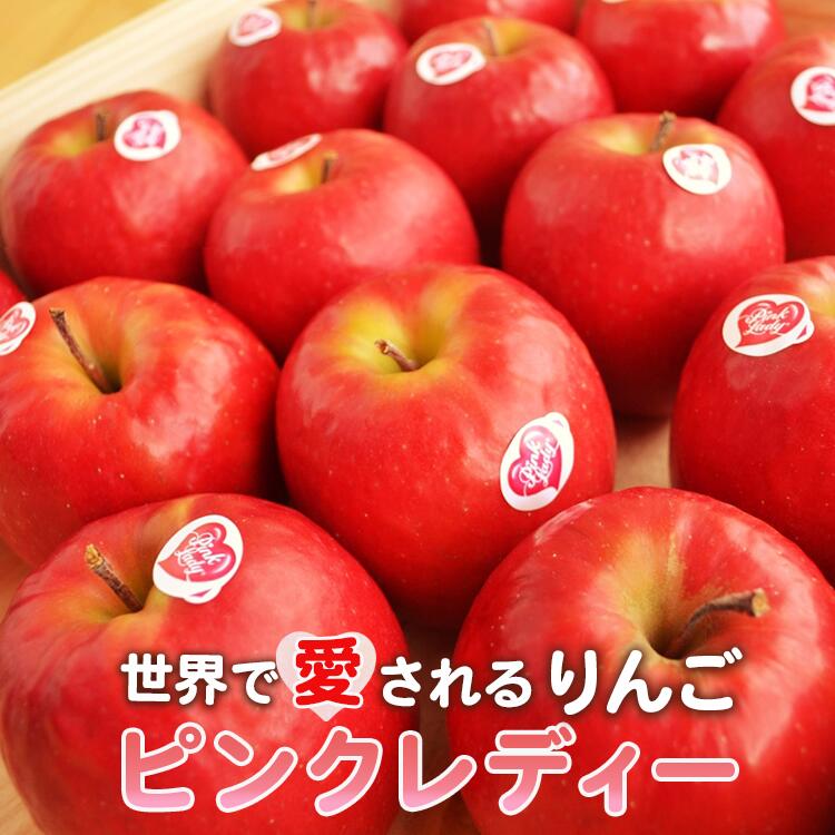 【ふるさと納税】先行予約 世界で愛されるりんご ピンクレディー 選ぼる 3kg / 5kg ふるさと納税 リンゴ 林檎 果物 フルーツ 産地直送 常温便 送料無料 岩手県 一関市 令和8年2月上旬頃から発送予定