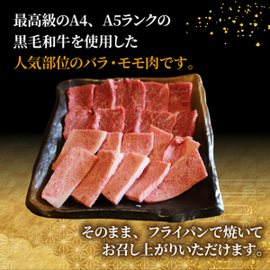 【A4~A5黒毛和牛】たれ漬け焼肉 バラ/モモ 計500g 黒毛和牛