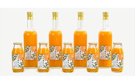 定期便 6回 小田原産江之浦みかん１００％ストレートジュース５００ml６本【 神奈川県 小田原市 】