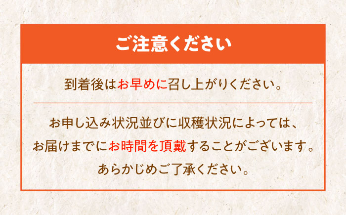 【先行予約】【11月初旬より順次発送】愛媛県産 富有（ふゆう）柿　Mから2Lサイズ 約5kg 箱入（15〜24玉）　愛媛県大洲市/沢井青果有限会社 [AGBN023]秋 フルーツ 果物 柿ジャム かき