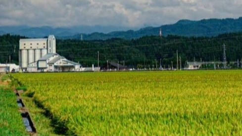 定期便【令和7年産先行受付】あきたこまち5kg×4ヶ月