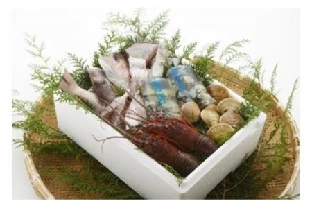  漁師鍋水炊きセット　HA-67