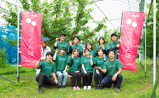 ≪2026年先行予約≫【仲野観光果樹園】ご家庭用 山形県産 シャインマスカット 白桃 2種詰合せ 2.5kg 種無し ぶどう 2026年9月中旬から順次発送 F2Y-6139