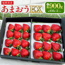 【ふるさと納税】ギフト配送 福岡県産あまおう EX 約450g×2パック〈特別栽培〉 あまおう いちご イチゴ 苺 フルーツ 果物 国産 九州産 福岡県 冷蔵 ブランド エコファーマー認定農家 GAP認定 送料無料 【2025年1月上旬～3月下旬発送予定】