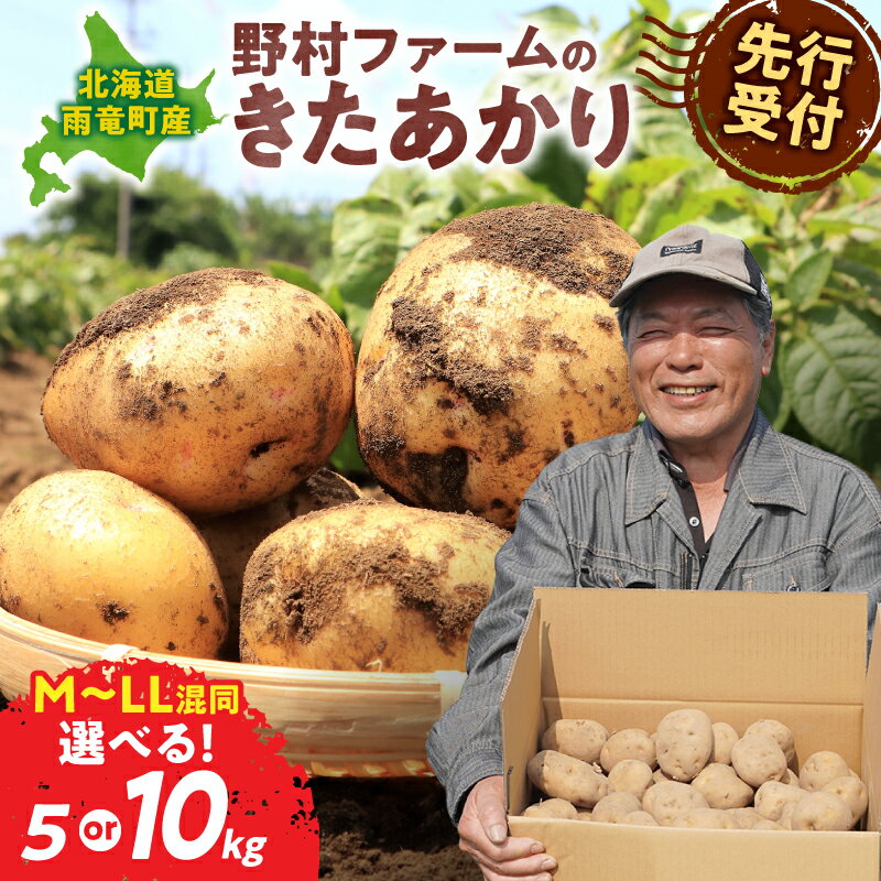 【ふるさと納税】【先行予約】北海道産 じゃがいも きたあかり 5kg 10kg 別名「栗じゃが」 甘くておいしい 甘いじゃがいも ホクホク 先行受付 秋野菜 サイズ混同 季節野菜 直送 じゃがバター マッシュポテト コロッケ フライドポテト ポテトサラダ 北海道 雨竜町 送料無料