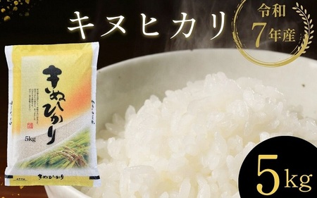 米 京都丹波亀岡産 キヌヒカリ 5kg 精米 白米