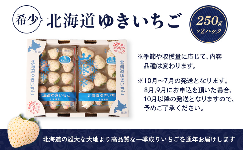 【北海道産】ゆきいちご（白いちご） 2Pセット 250g×2 計500g【59001】