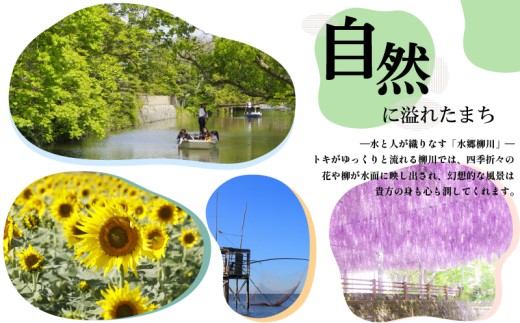 【合計420枚】 福岡有明海苔　味海苔 卓上ボトル 味のり セット海苔 10切70枚×6本セット海苔 のり お弁当 お米にあう おにぎり 弁当 NORI nori 有明海産 味海苔 美味しい海苔 のり