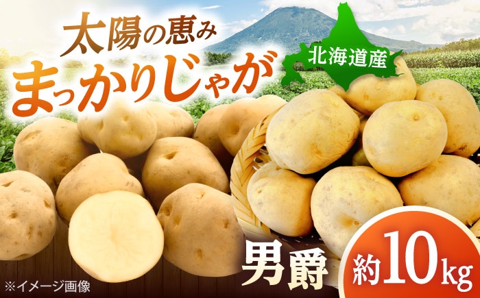 
                  【2026年10月中旬以降順次発送】 じゃがいも 男爵（まっかりじゃが）10kg | じゃがいも ジャガイモ 男爵 秋 2026年 じゃが芋 芋 野菜 北海道 産地直送 産直 秋野菜 先行予約 | 道の駅 真狩フラワーセンター [BPAM024]
                