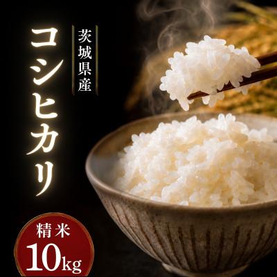 ふるさと納税 かすみがうら市 令和7年産かすみがうら市産コシヒカリ  精米  10kg