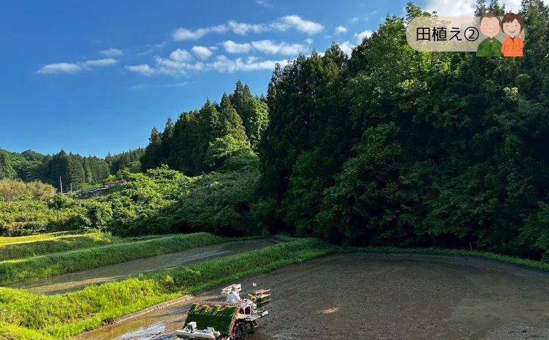 令和7年産 宮城県大河原町産 ひとめぼれ 10kg 米 お米 精米 白米 こめ コメ 令和7年 宮城県産