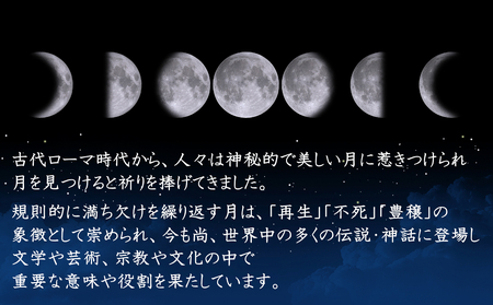 SV999 白銀の月　表半球　Lunéa（ルネア）