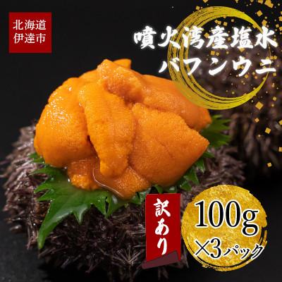 ふるさと納税 伊達市 訳あり 北海道 噴火湾産 塩水 バフンウニ 100g×3パック 計300g