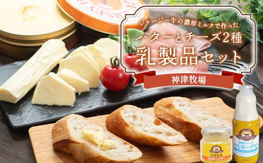 
            【神津牧場】神津牧場バターとチーズ2種 ジャージー牛の濃厚ミルクで作った乳製品セット≪発酵バター・のむヨーグルト・チーズ2種（モッツァレラ・ストリング）・はちみつバター≫詰合せ F21K-494
          