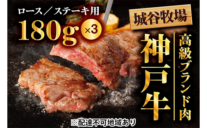 城谷牧場の神戸牛 ロース ステーキ 540g（180g×3枚）国産牛 和牛 神戸ビーフ バーベキュー BBQ 冷凍