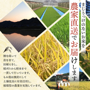【定期便３回】 【令和7年度産】 コシヒカリ 5kg×3回 合計15kg 白米 精米