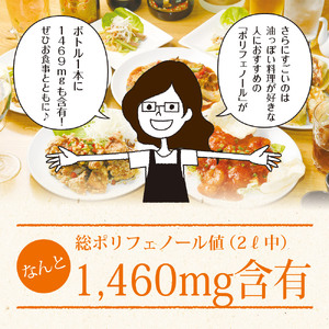 【定期便6か月】 静岡県産 黒烏龍茶 2L × 9本 いなば園 黒烏龍茶 
