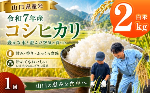令和7年産 山口県産米 コシヒカリ 2kg ｜ 令和7年産 コシヒカリ 山口県産米 こめ お米 コメ 白米 山口県 平生町