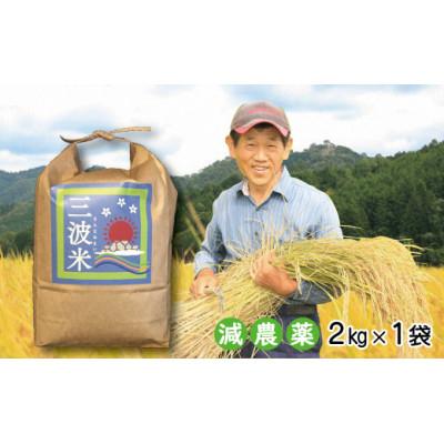 ふるさと納税 朝来市 【毎月定期便】栽培期間中農薬を減らして栽培 三波農地を守る会のコシヒカリ(2kg)玄米・全3回