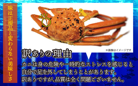 【訳あり】越前がに 4～6杯 （合計2kg以上） 脚折れ【順次発送中】