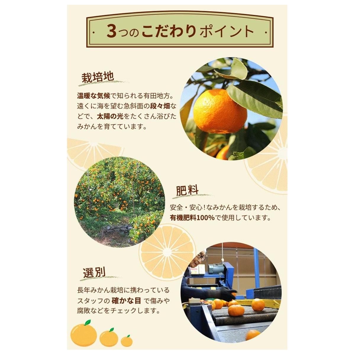 ＼光センサー選別／こだわりの完熟有田みかん 5kg＋250g(傷み補償分)【ご家庭用】サイズ混合 有機質肥料100% ｜ みかん 有田みかん 温州みかん ミカン 温州ミカン 柑橘 温州 甘い コク 産