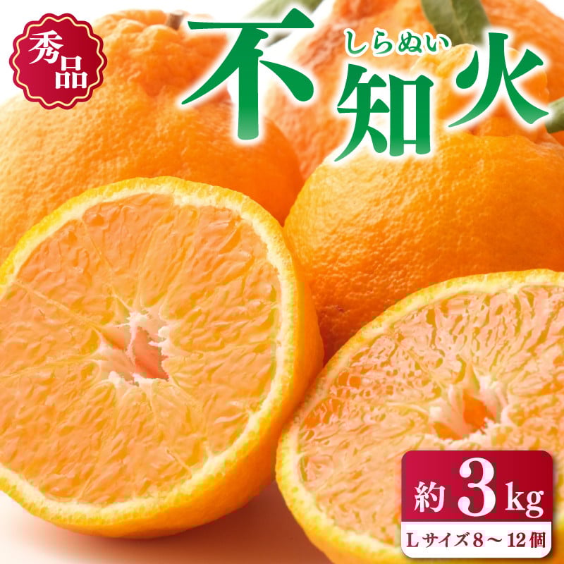 
            先行予約 不知火 しらぬい 3kg みかん 蜜柑 果物 フルーツ 柑橘 オレンジ ゼリー フレッシュ ジュース アイス ヨーグルト ケーキ デザート スイーツ ジャム 糖度 高糖度 甘い 送料無料 贈答 ギフト プレゼント 徳島県 阿波市 半田農園
          