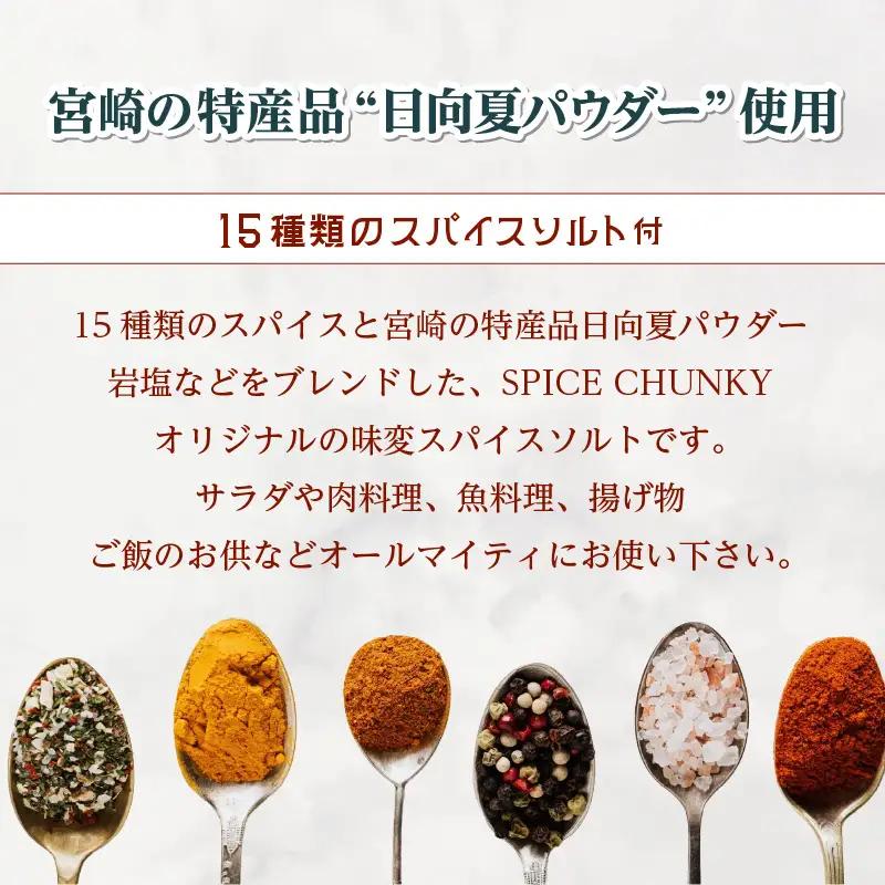 宮崎スープカレーセット(スープカレーほろほろチキン真空冷凍パック、スパイスソルト) スープ カレー スパイスソルト 冷凍