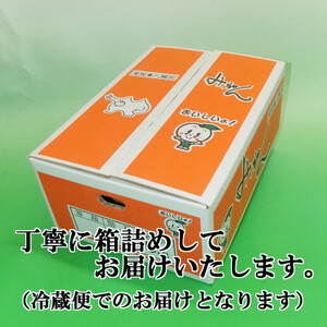 やまご農園 高糖度みかん!「あけぼの」【C39-11】【配送不可地域：離島】【1491797】