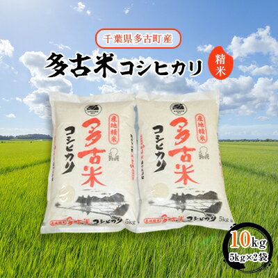 【ふるさと納税】【令和7年産】多古米コシヒカリ　精米10kg(5kg×2袋)【配送不可地域：離島・沖縄県】【1030393】