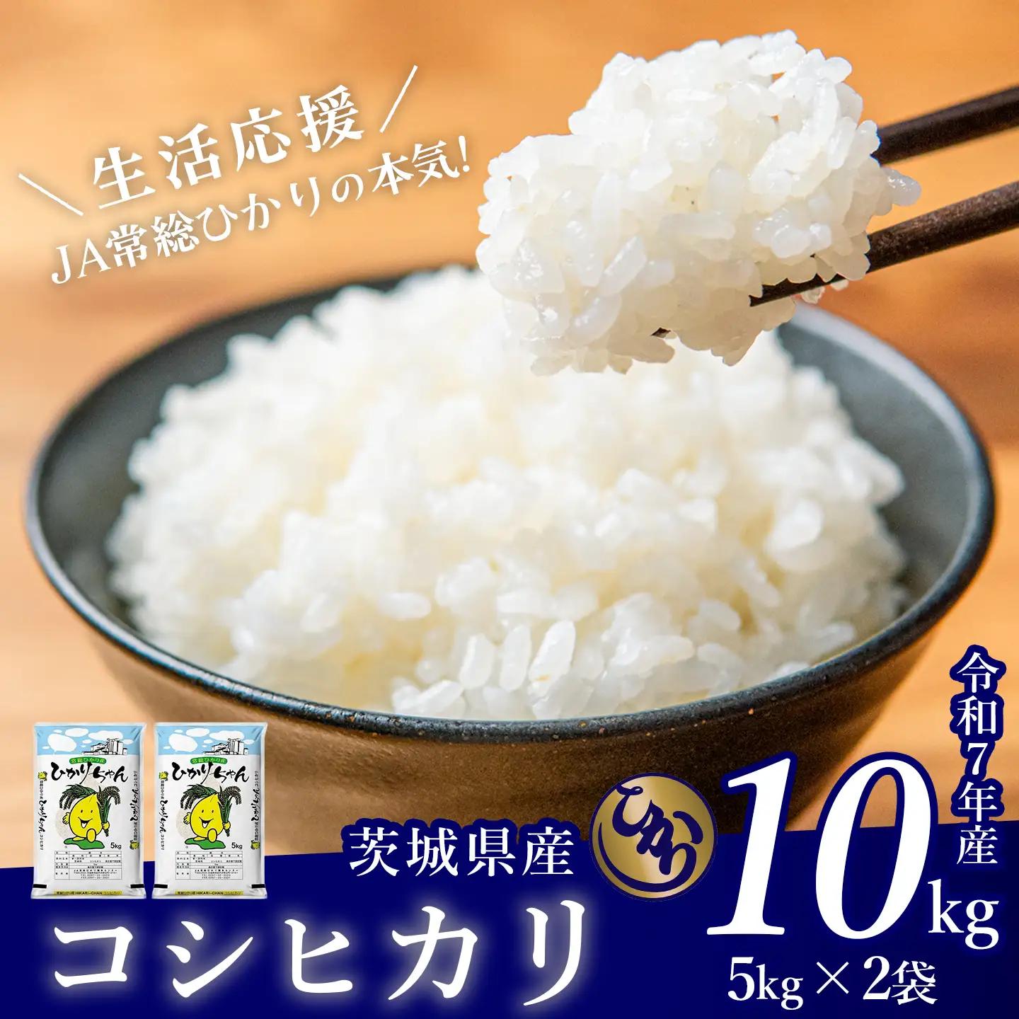 米 精米 R7年産 コシヒカリ 10kg 10月