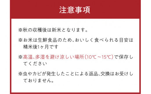 2025年産 京都・久美浜三谷産 丹後コシヒカリ「三谷幸米」 玄米 5kg