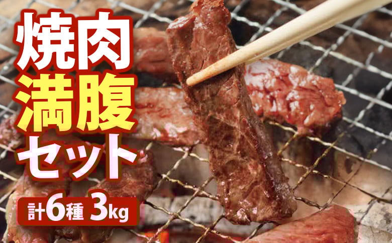 
            大畠精肉店の焼肉満腹セット（計6種3kg） ｜ オンライン 申請 ふるさと納税 北海道 新十津川 焼肉セット 焼き肉セット カルビ サガリ ホルモン ジンギスカン 焼き肉 BBQ バーベキュー 食べ比べ 食べ比べセット 大容量 冷凍 お取り寄せ 取り寄せ 新十津川町【1301101】
          