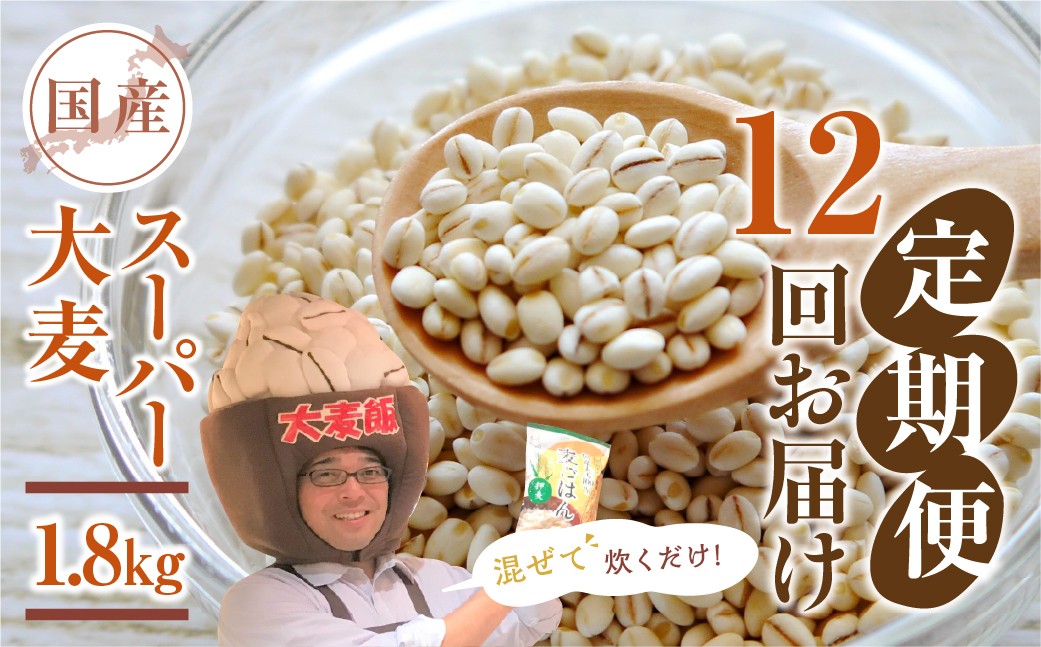 
                  【愛知県産】大麦 定期便 12回 スーパー大麦 1.8kg×12 計21.6kg 月1回お届け ビューファイバー100% 豊橋市 大麦 定期便 12回 大麦 定期便 12回 大麦 定期便 12回 大麦 定期便 12回 大麦 定期便 12回 大麦 定期便 12回 大麦 定期便 12回 大麦 定期便 12回 定期便 12回 定期便 12回 スーパー大麦 スーパー大麦 麦ごはん 麦ごはん 定期便 12回
                