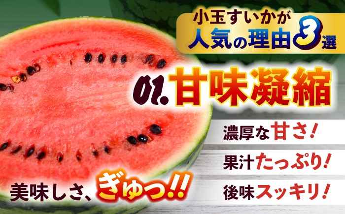 訳あり 小玉すいか 2玉 計約2kg～3kg 小玉西瓜 スイカ