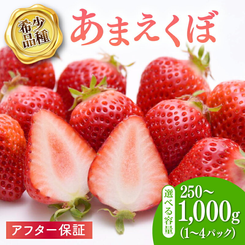 【ふるさと納税】 いちご アフター保証 選べる 容量 苺 250g ~1kg 新鮮 冷蔵 イチゴ ふるさと納税 苺 ふるさと 果物 スイーツ 数量限定 期間限定 小分け あまえくぼ 希少品種 贈答 ギフト プレゼント 1月より順次発送 【2026年1-3月発送】 高知県 宿毛市