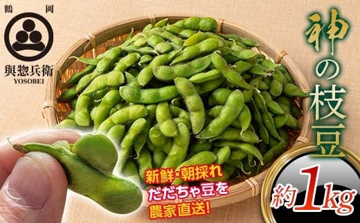 ≪2026年先行予約≫【與惣兵衛】山形県産 神の枝豆 だだちゃ豆 約1kg 2026年8月上旬から順次発送 F2Y-5460