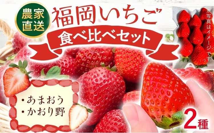 【2027年2月より順次発送】福岡いちご2種　食べ比べセット（あまおう＆かおり野）2026