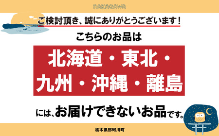 【栃木県共通返礼品】【いちごに優しいソフトパックでお届け】朝採れいちご とちあいか 350g×2P | いちご とちあいか 朝採れ 贈答用 大粒 新鮮 甘い 美味しい 果物 デザート 栃木県 那珂川町