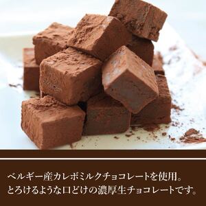 チョコレート 生チョコ 12個 チョコレート 生チョコ チョコレート 生チョコ 生チョコ