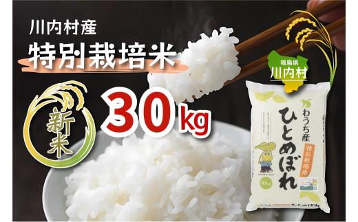 【ふるさと納税】令和7年度 かわうち産 特別栽培米 ひとめぼれ 30kg