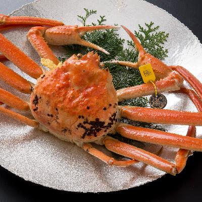 ふるさと納税 鯖江市 【11月6日漁解禁】福井冬の味覚!越前がに 極 1杯(1,500g以上) |  | 01