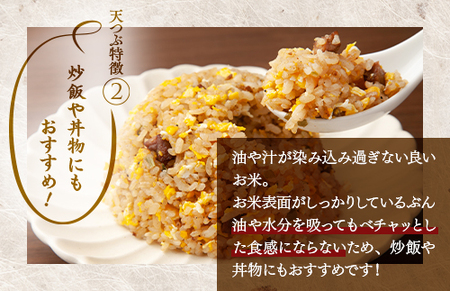 【令和8年産】米　国見町産　天のつぶ 5kg（5kg×1袋） ※2026年10月～発送