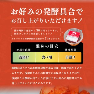 本場韓国人の作るキムチ！田家たむらの白菜キムチとオイキムチのセット 本場 手作り 国産野菜 白菜 きゅうり 胡瓜 本格発酵キムチ 韓国キムチ ヤンニョム 漬け物 唐辛子 浅漬け 発酵食品 おかず 本場