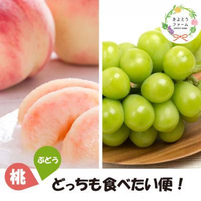 ふるさと納税 真庭市 【発送月固定定期便】桃と葡萄(シャインマスカット)どっちも食べたい便!【お試し便】(岡山県産)全2回