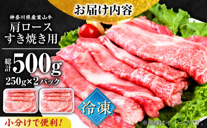 葉山牛肩ロースすき焼き用 250g×2パック【株式会社羽根】 [AKAG004]